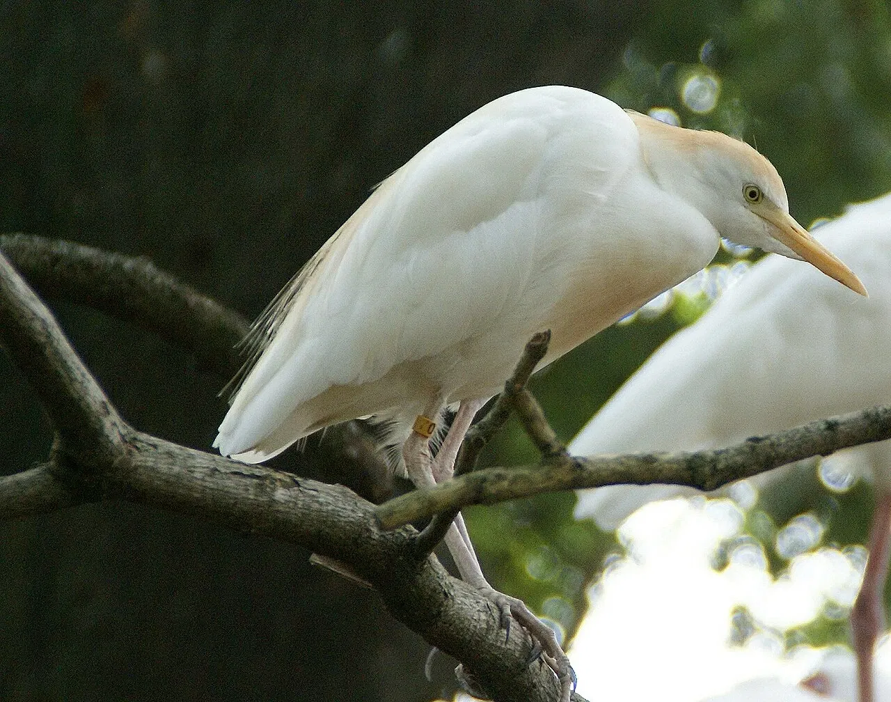 The Maryland Zoo In Baltimore