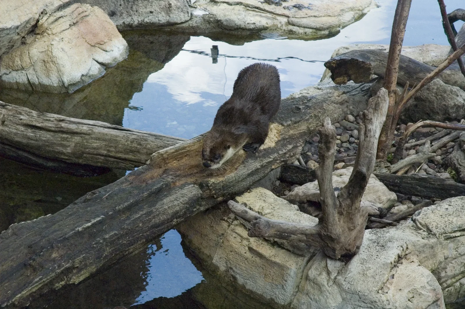 Mississippi River Museum