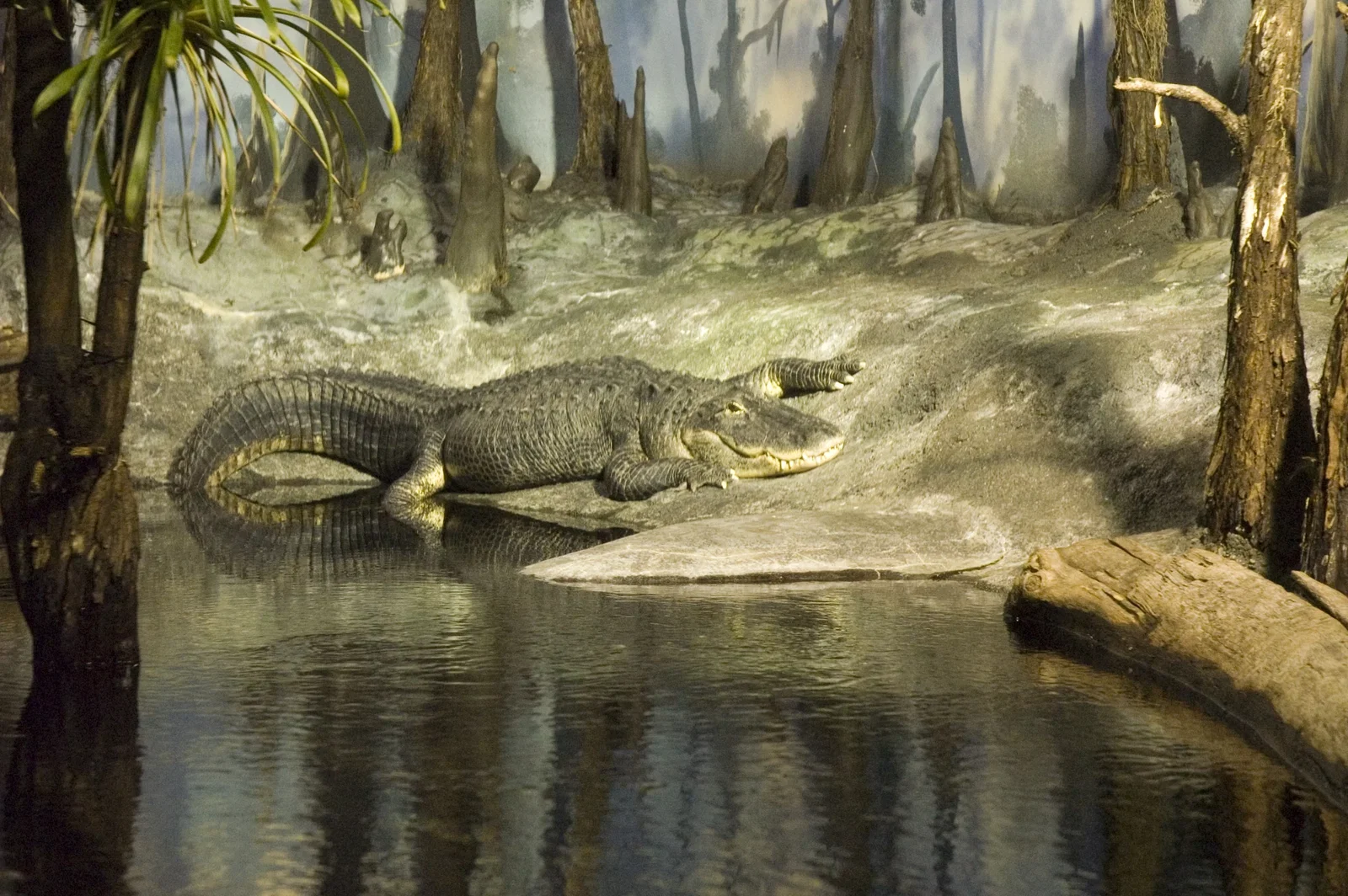 Mississippi River Museum