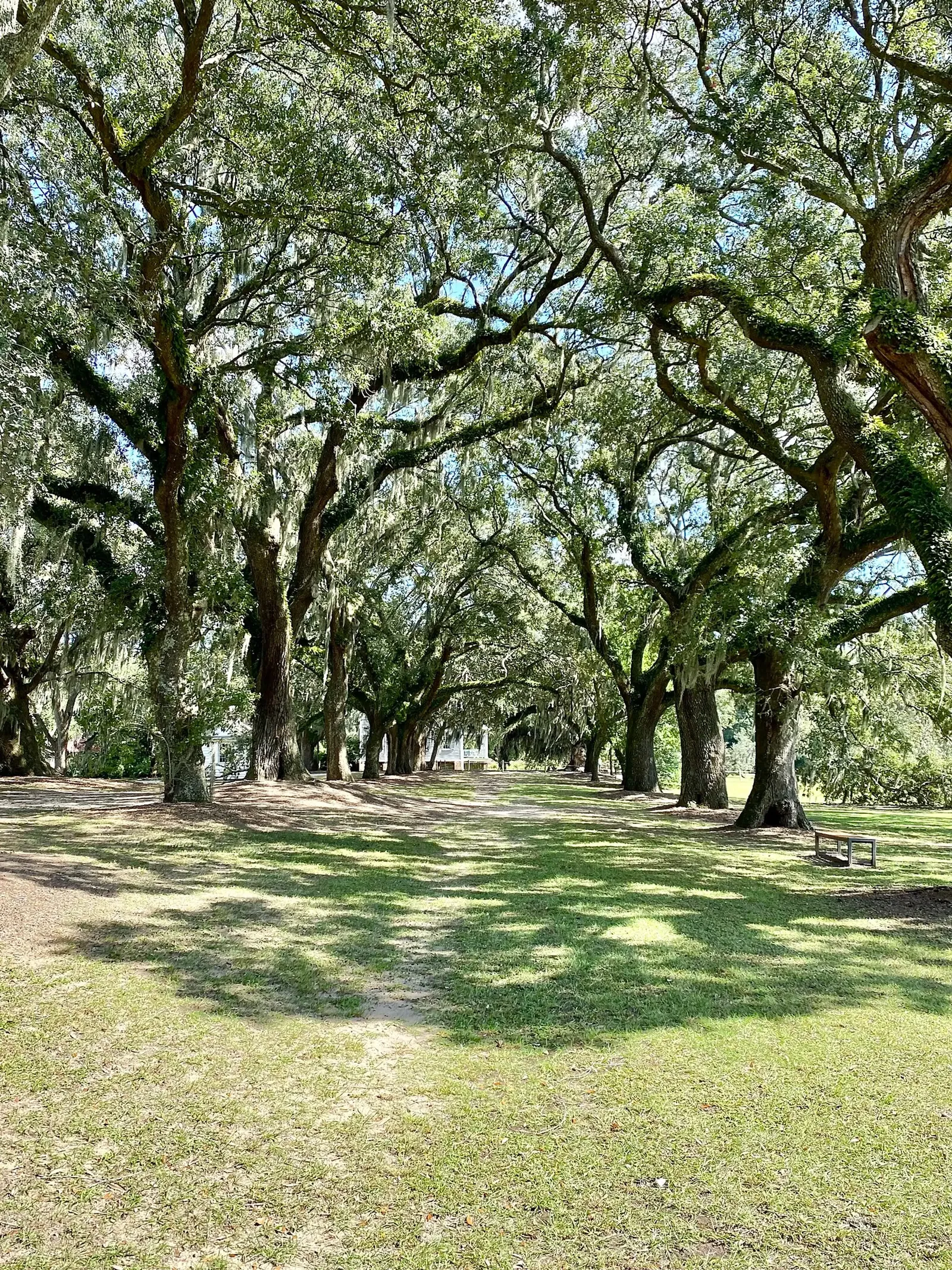 Mcleod Plantation Historic Site