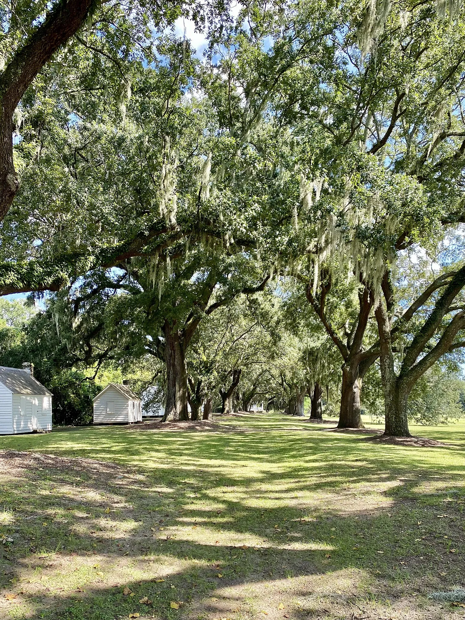 Mcleod Plantation Historic Site