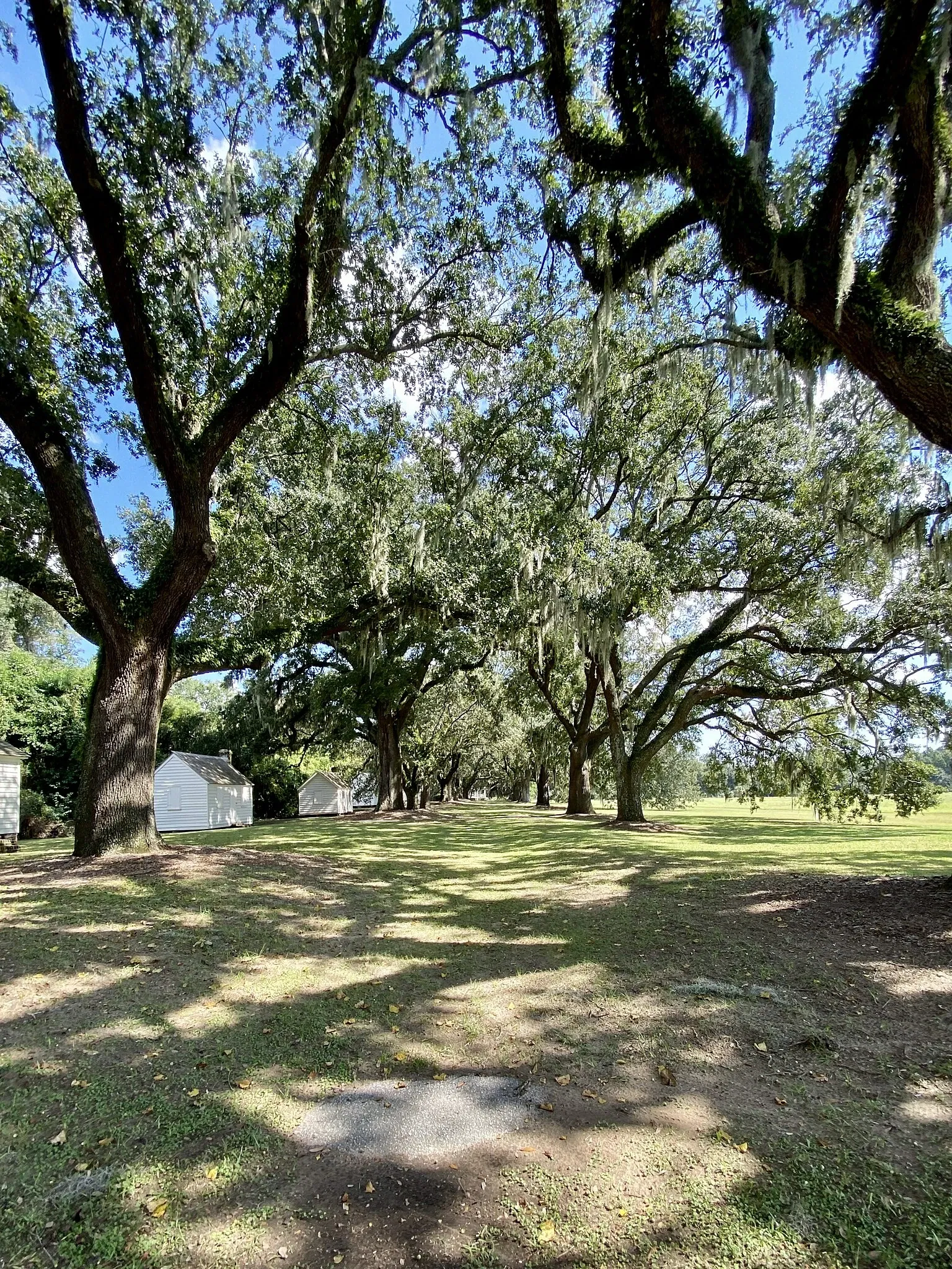 Mcleod Plantation Historic Site