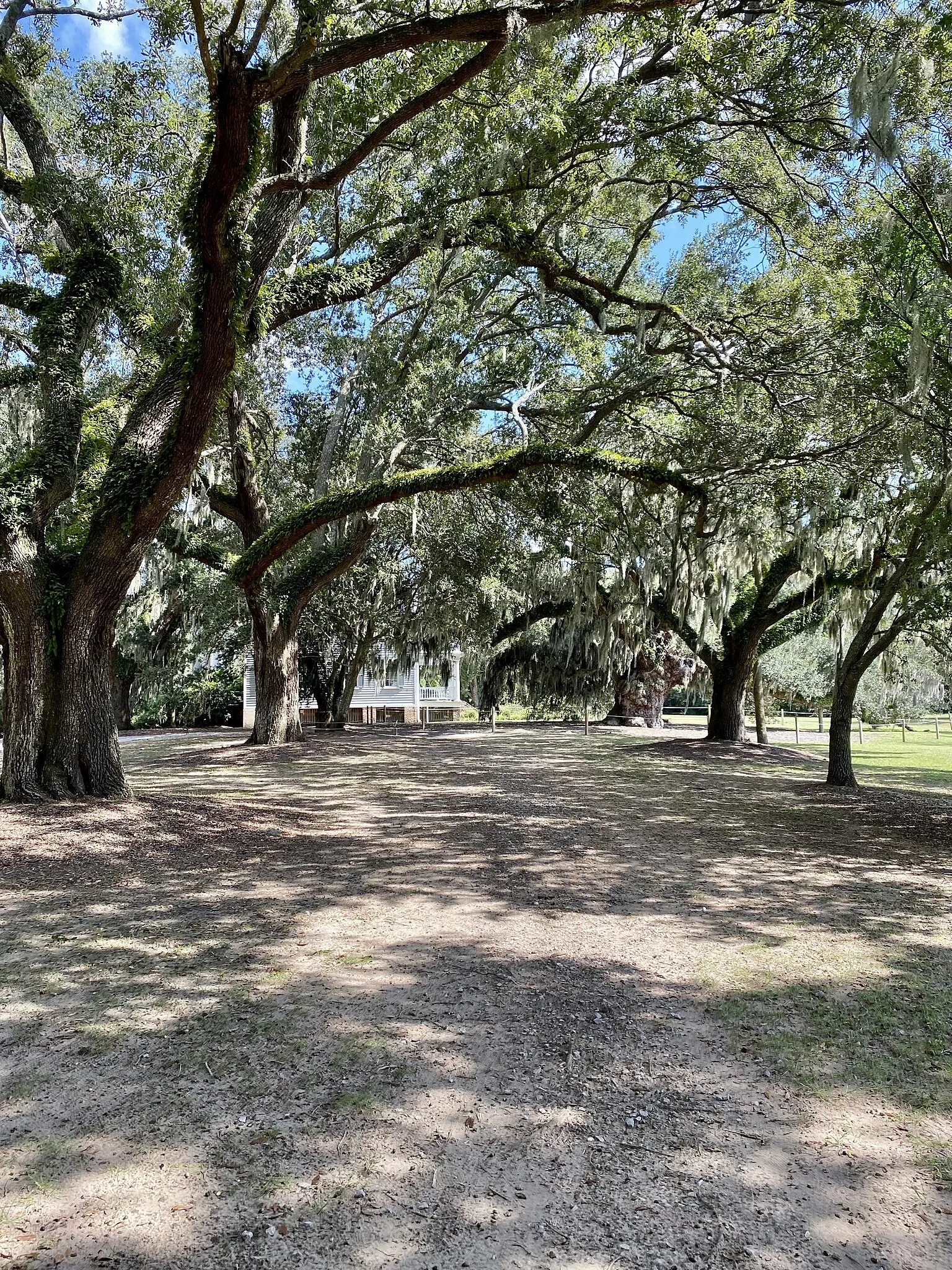 Mcleod Plantation Historic Site