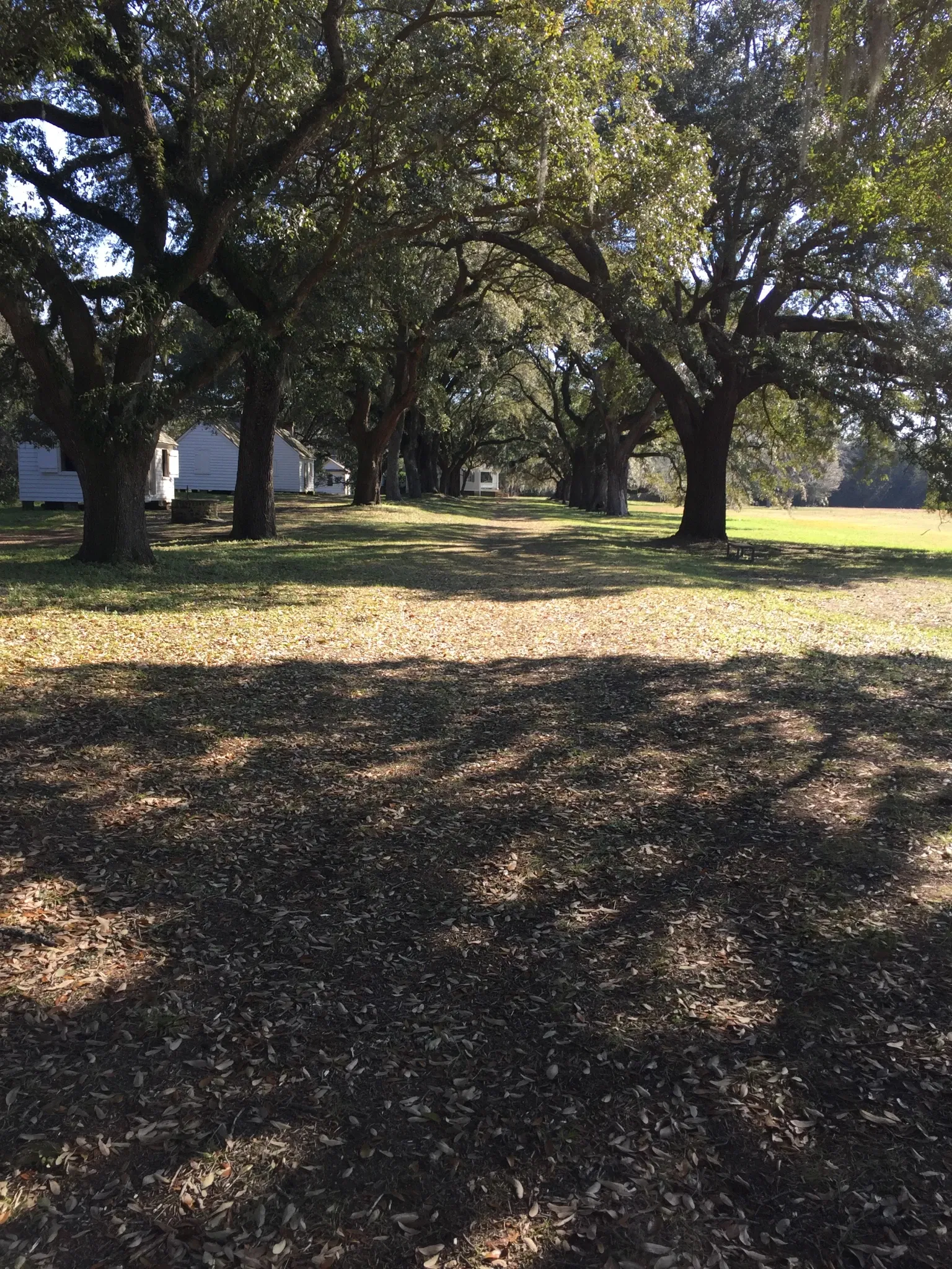 Mcleod Plantation Historic Site