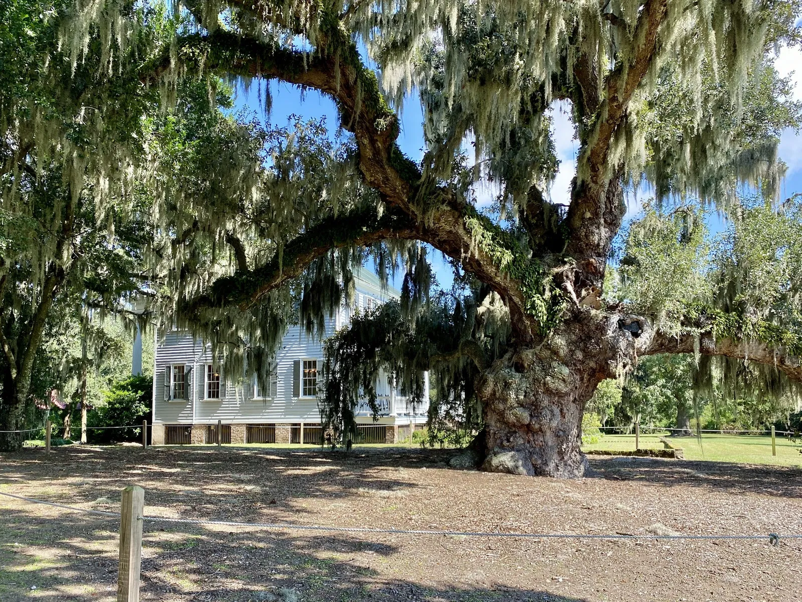 Mcleod Plantation Historic Site