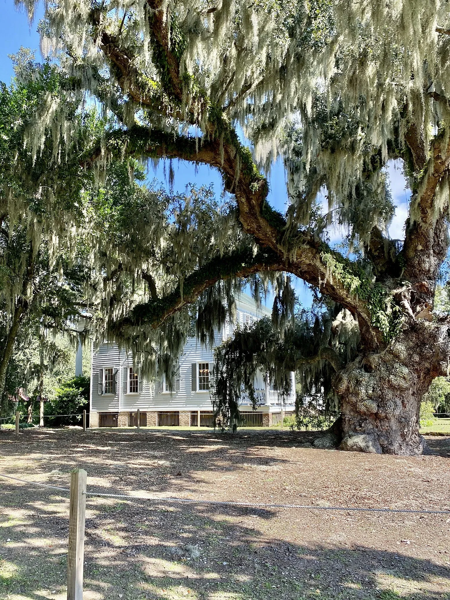 Mcleod Plantation Historic Site