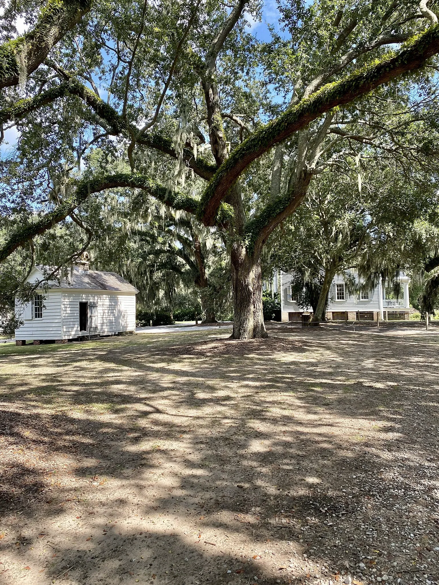 Mcleod Plantation Historic Site