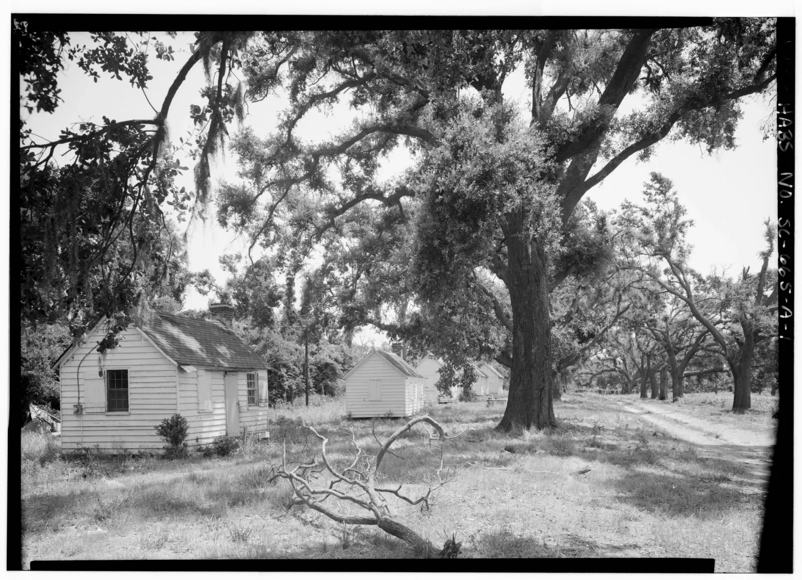 Mcleod Plantation Historic Site