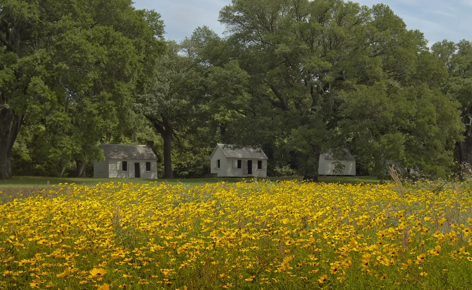Mcleod Plantation Historic Site