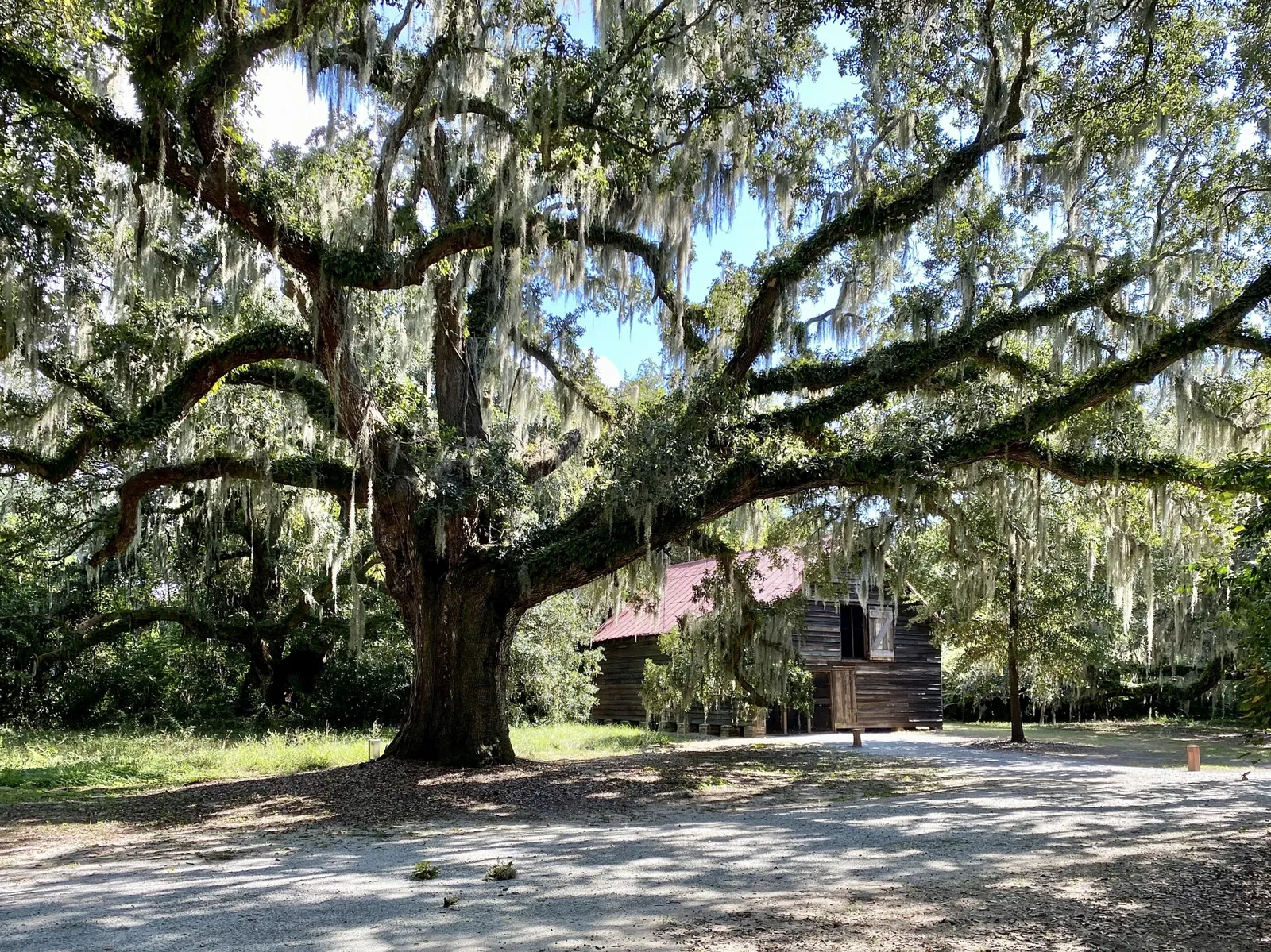 Mcleod Plantation Historic Site