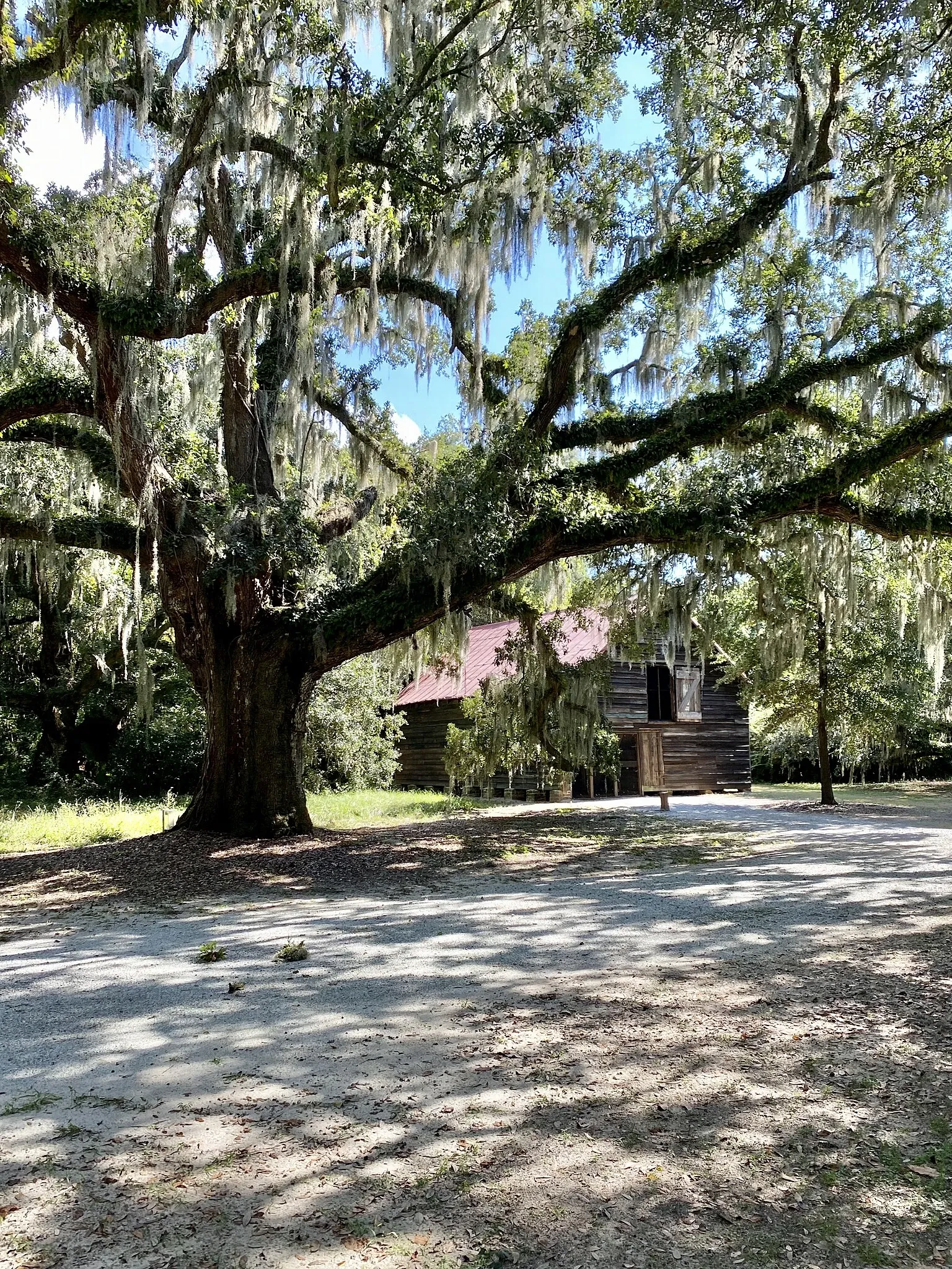 Mcleod Plantation Historic Site