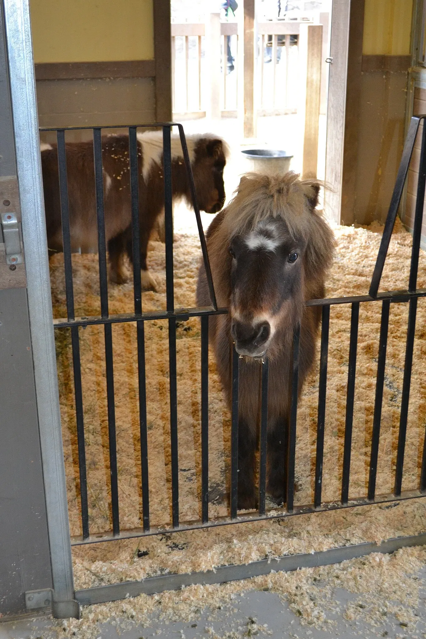 Happy Hollow Park and Zoo