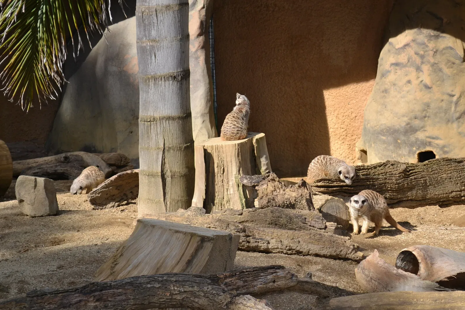 Happy Hollow Park and Zoo