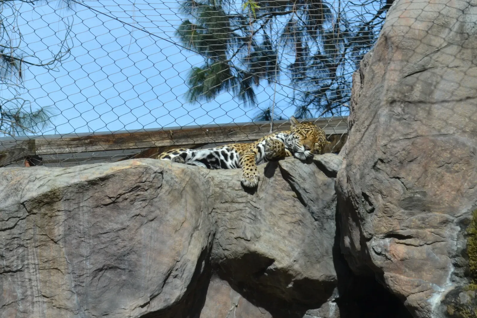 Happy Hollow Park and Zoo