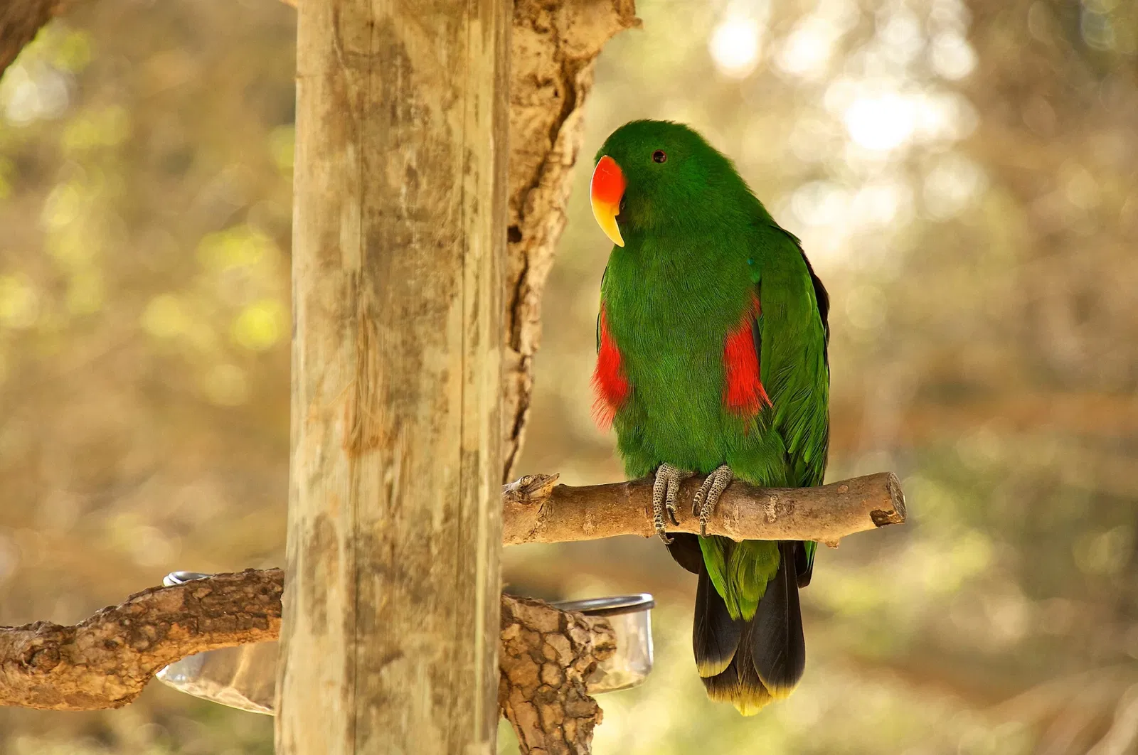 Happy Hollow Park and Zoo