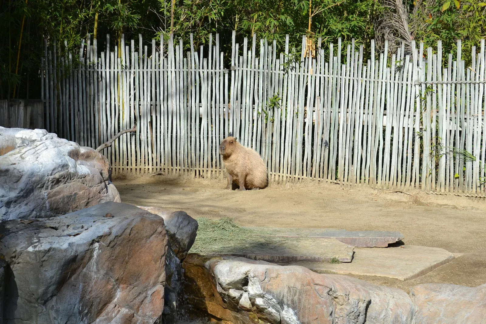 Happy Hollow Park and Zoo