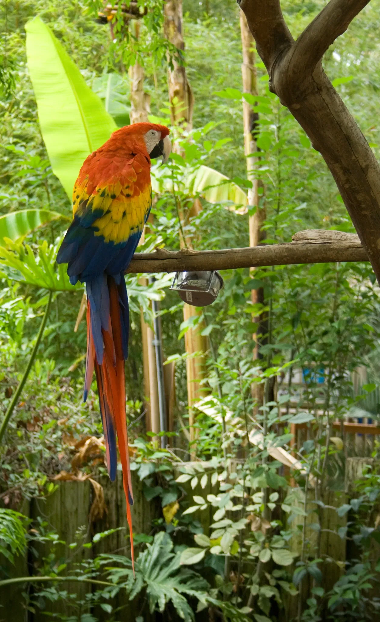 Happy Hollow Park and Zoo