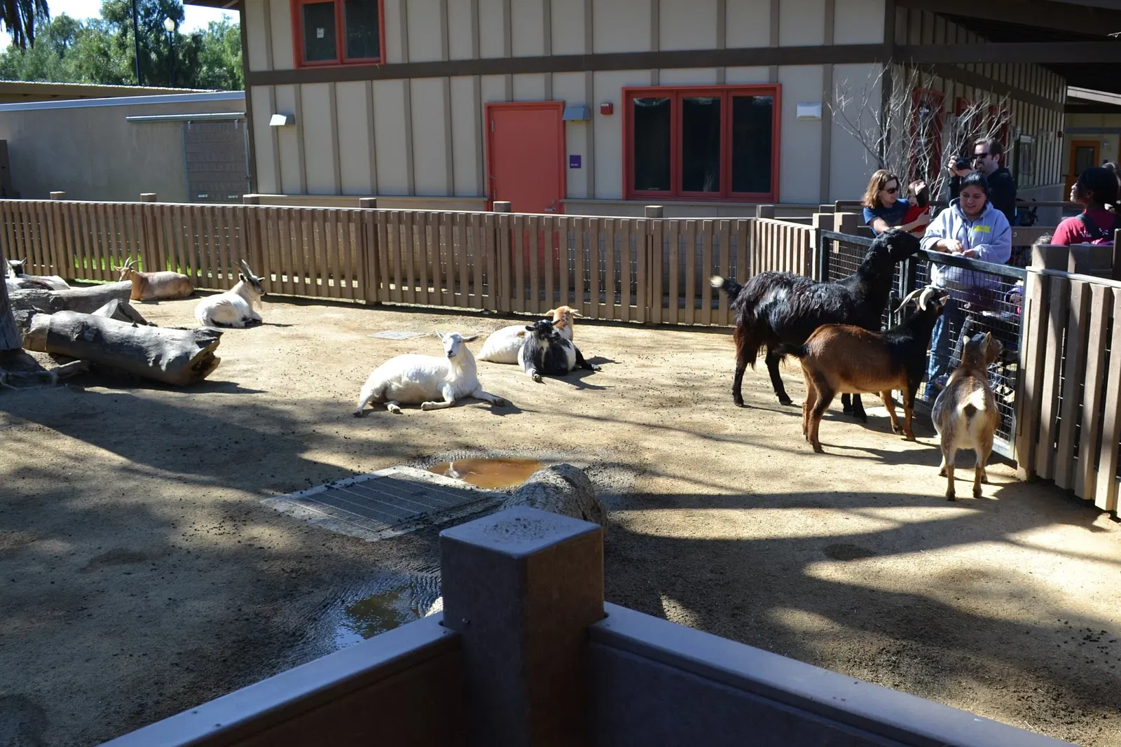 Happy Hollow Park and Zoo