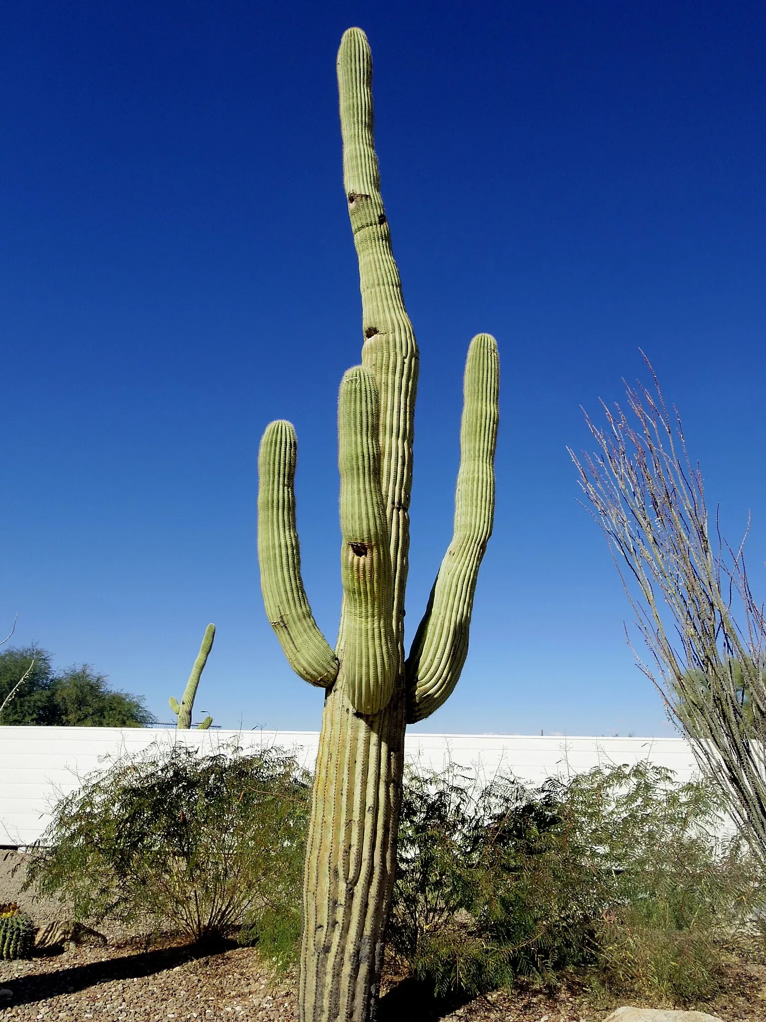 Pima Air and Space Museum