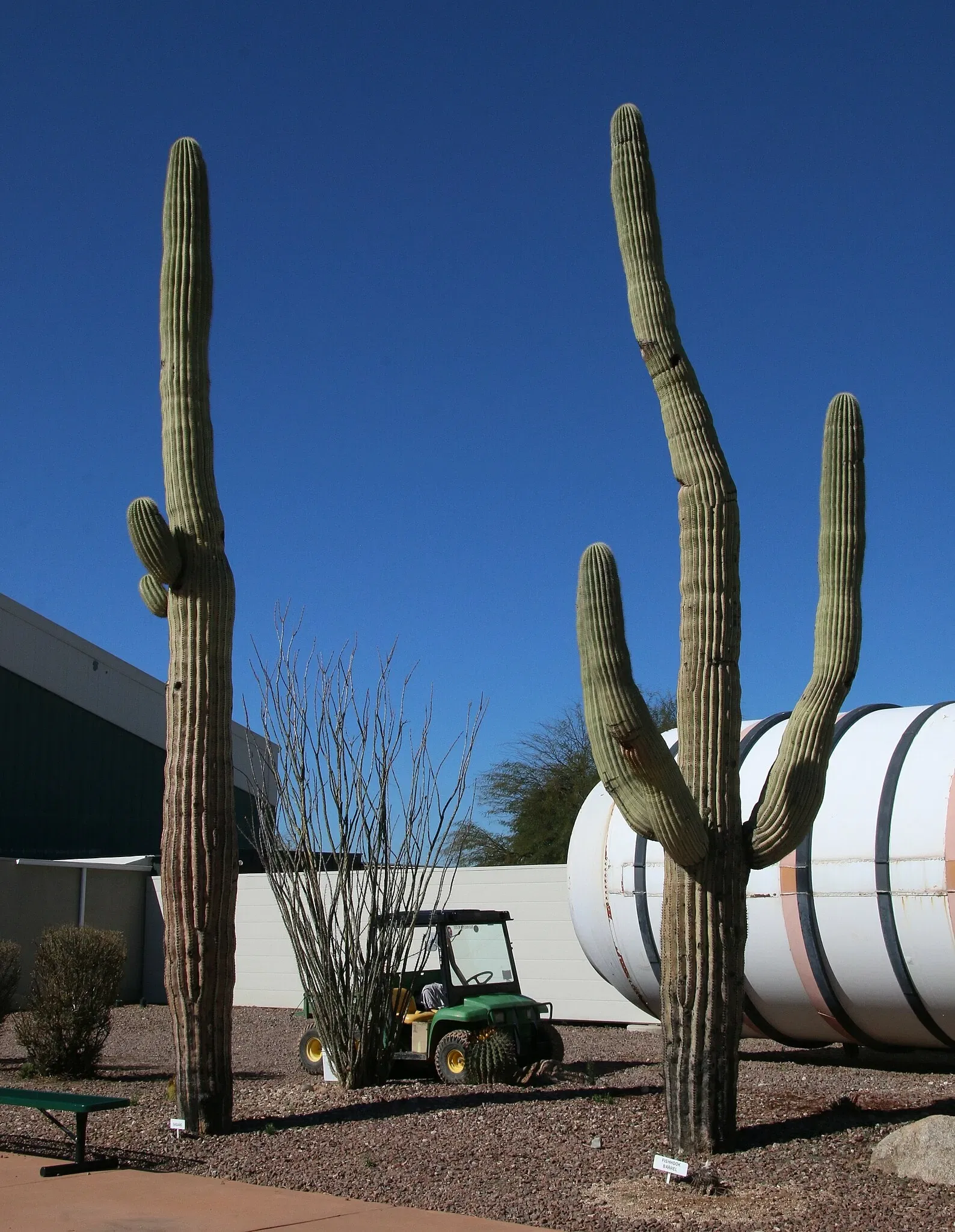 Pima Air & Space Museum