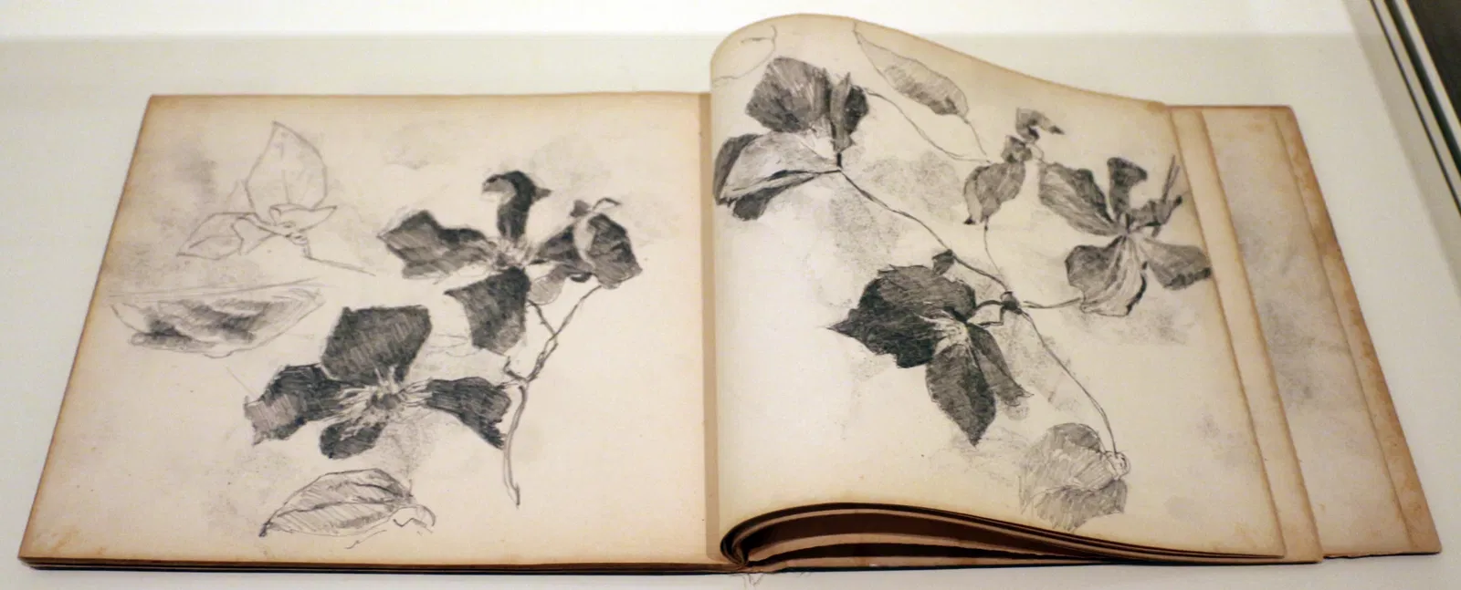 Musée d'Art d'Indianapolis