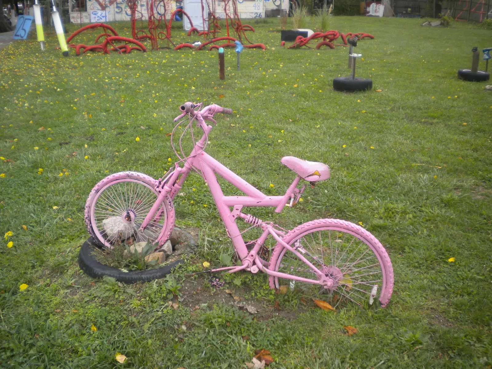 The Heidelberg Project