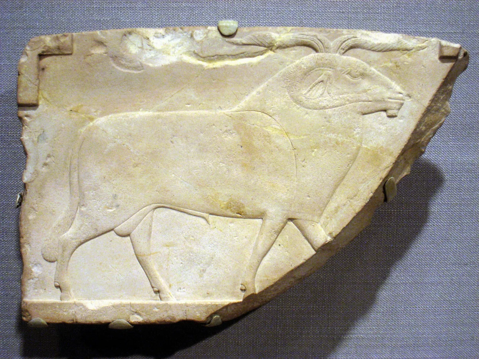 Worcester Art Museum