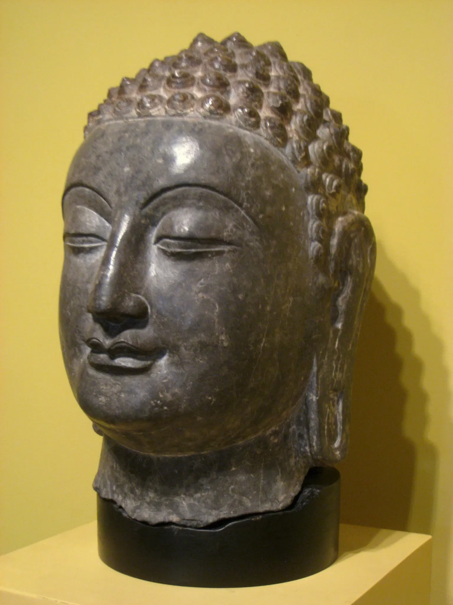 Worcester Art Museum