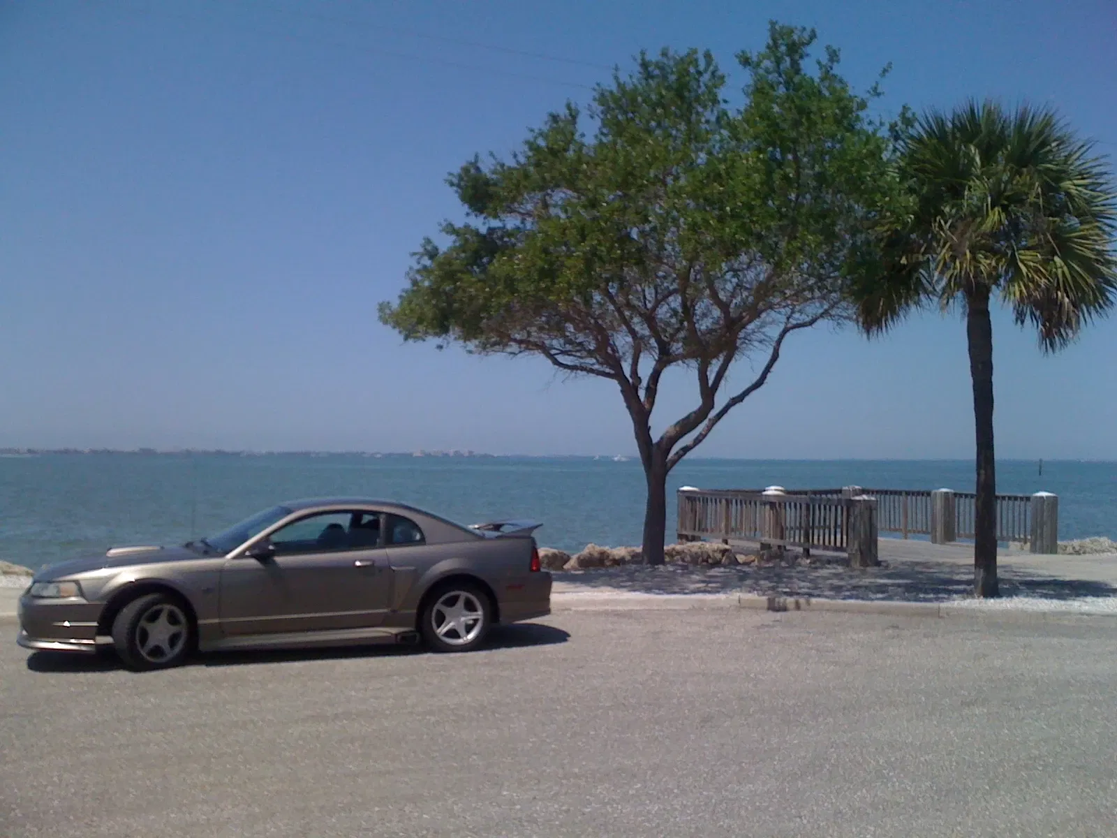 Sarasota Classic Car Museum