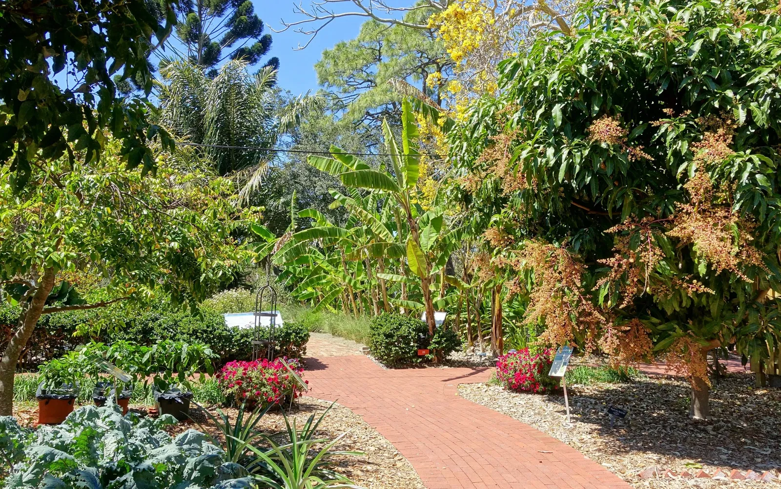 Marie Selby Botanical Gardens