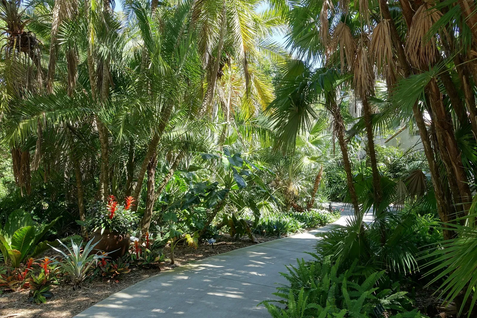 Casa de Christy Payne y Jardín Botánico Marie Selby