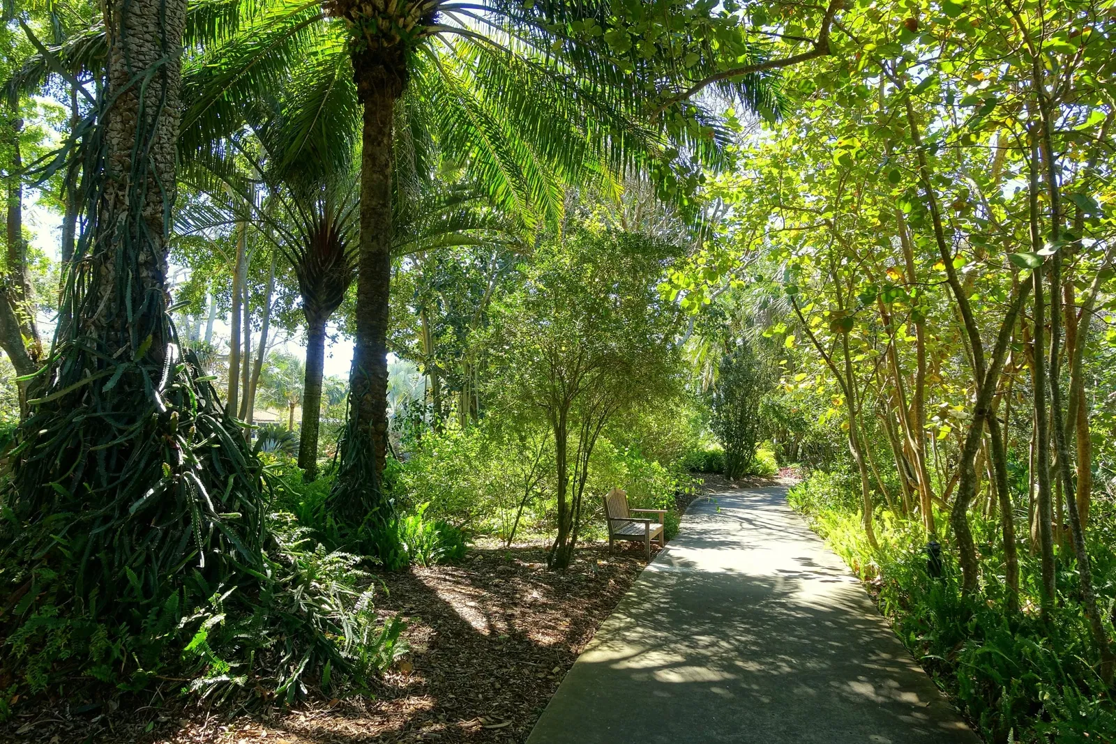 Casa de Christy Payne y Jardín Botánico Marie Selby
