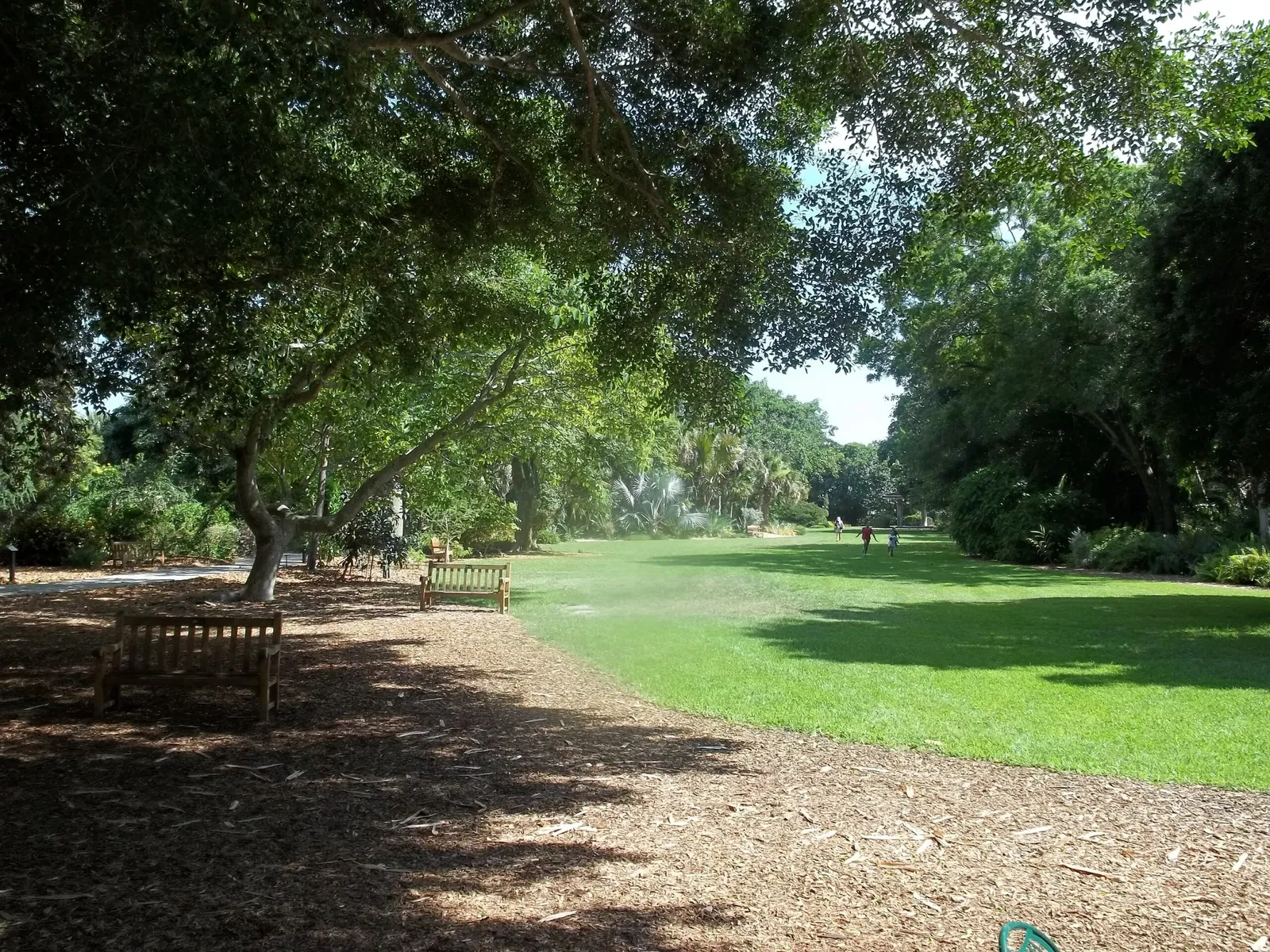 Marie Selby Botanical Gardens