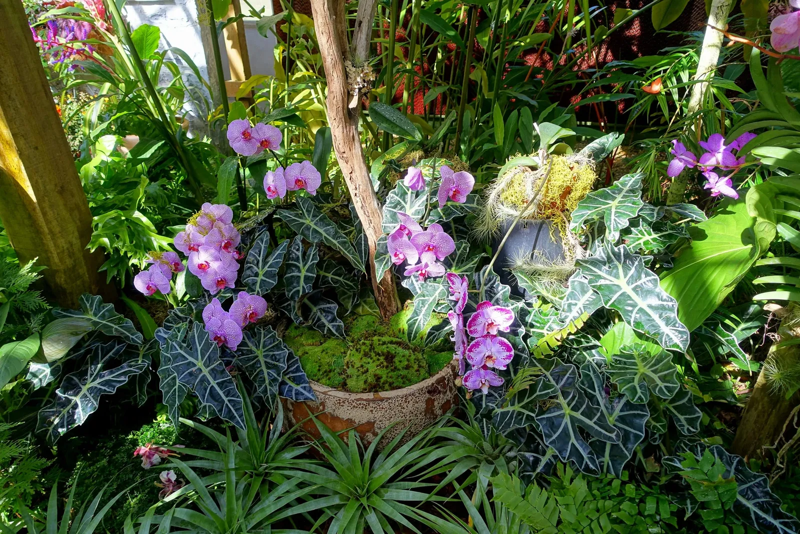 Casa de Christy Payne y Jardín Botánico Marie Selby