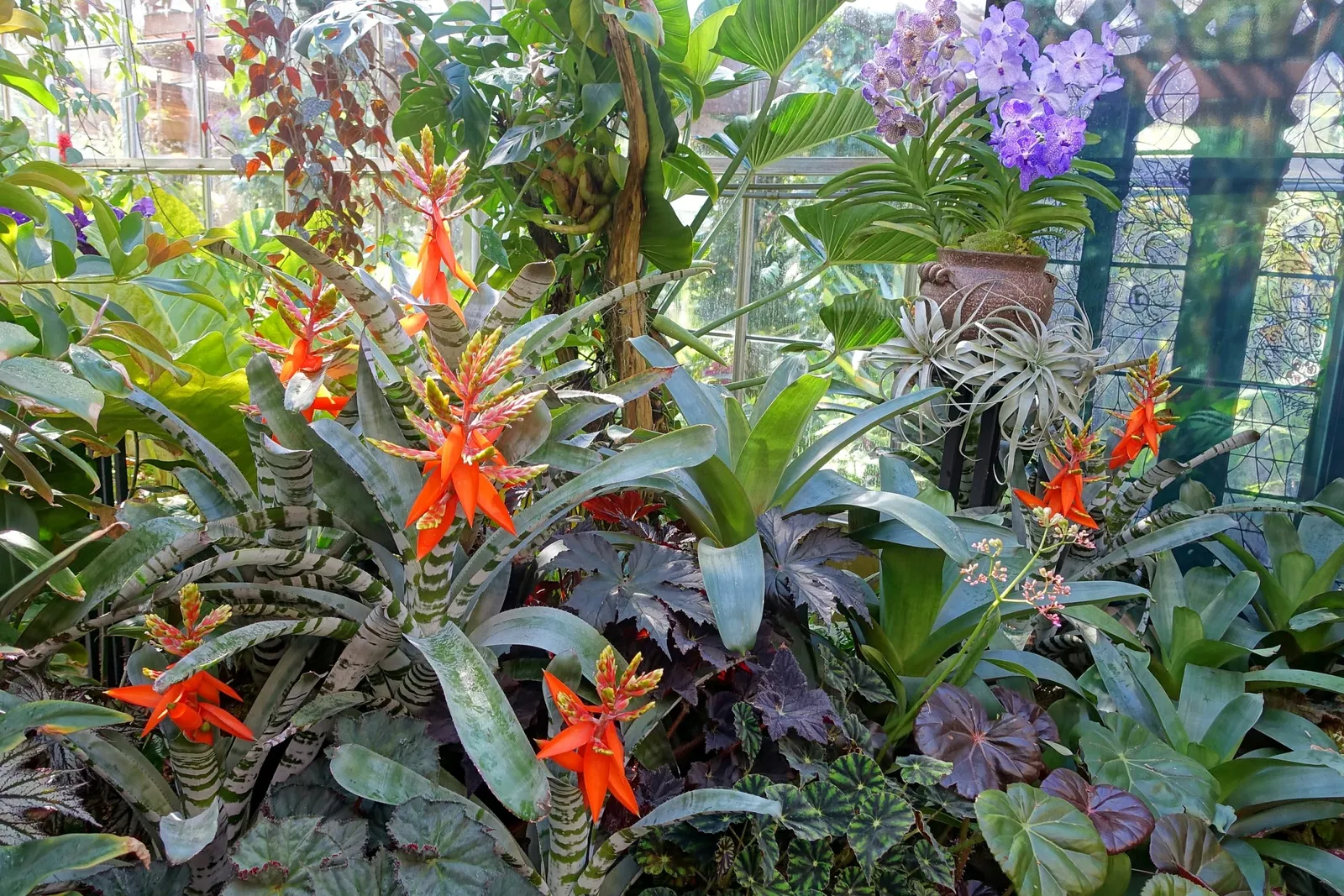 Casa de Christy Payne y Jardín Botánico Marie Selby