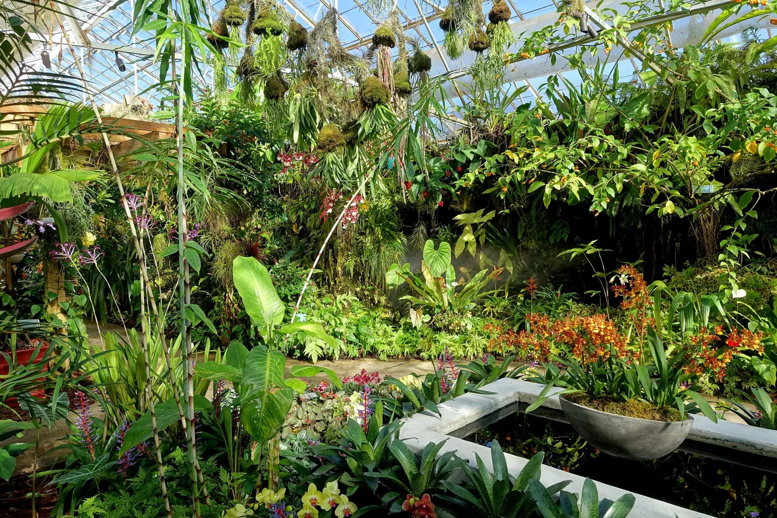 Casa de Christy Payne y Jardín Botánico Marie Selby