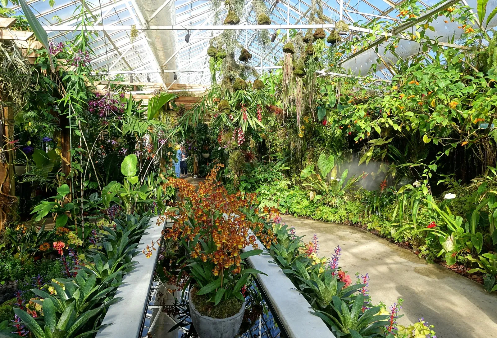 Marie Selby Botanical Gardens