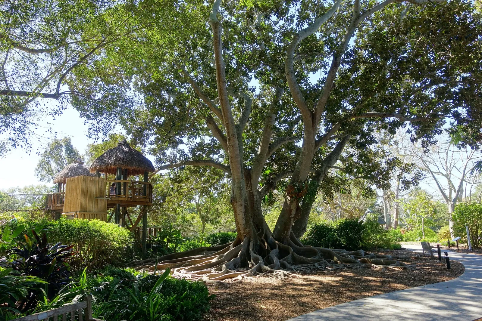 Casa de Christy Payne y Jardín Botánico Marie Selby