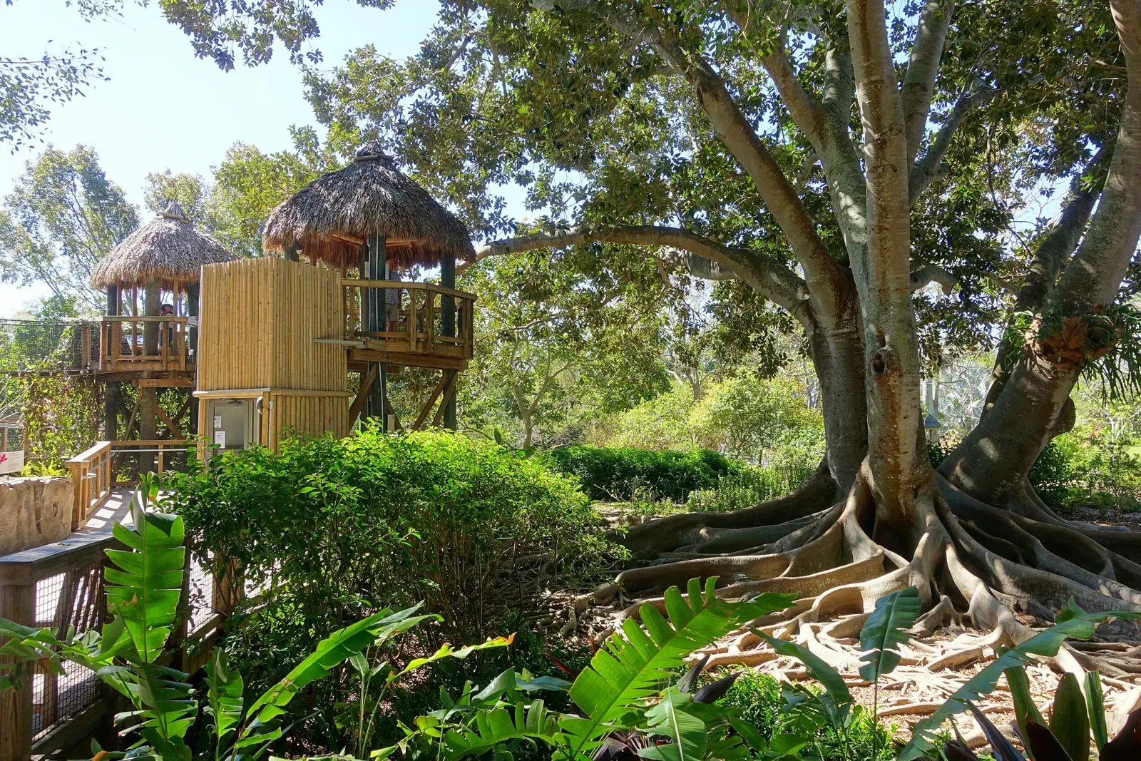 Casa de Christy Payne y Jardín Botánico Marie Selby