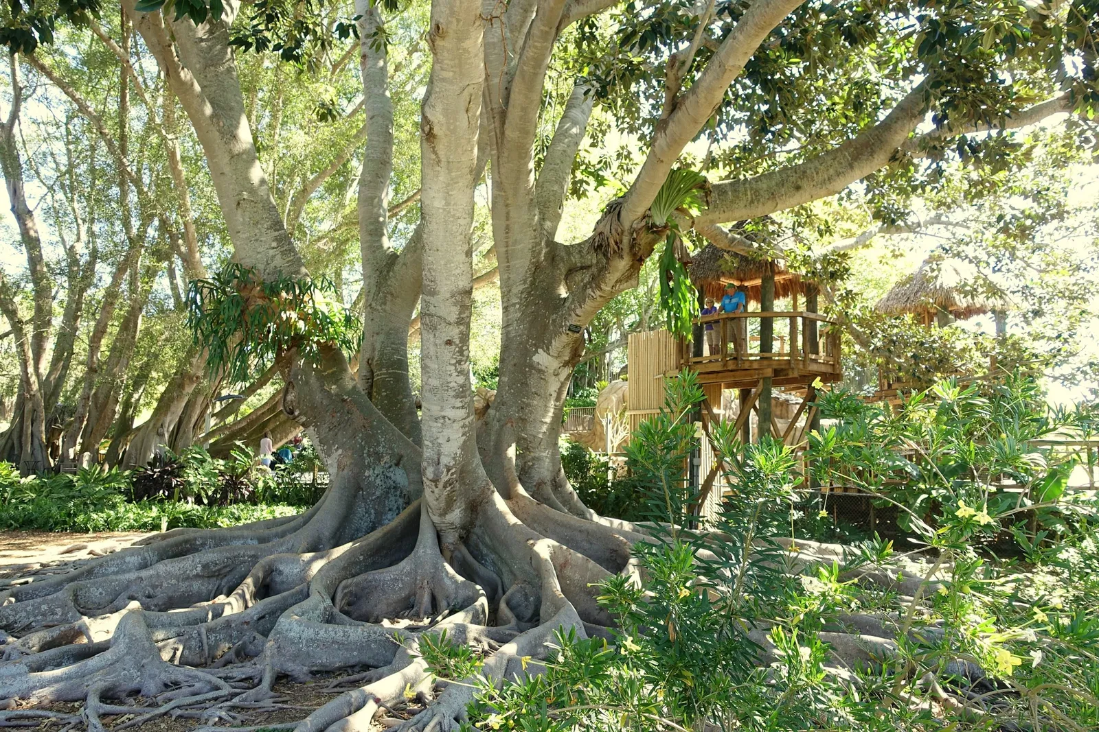 Casa de Christy Payne y Jardín Botánico Marie Selby
