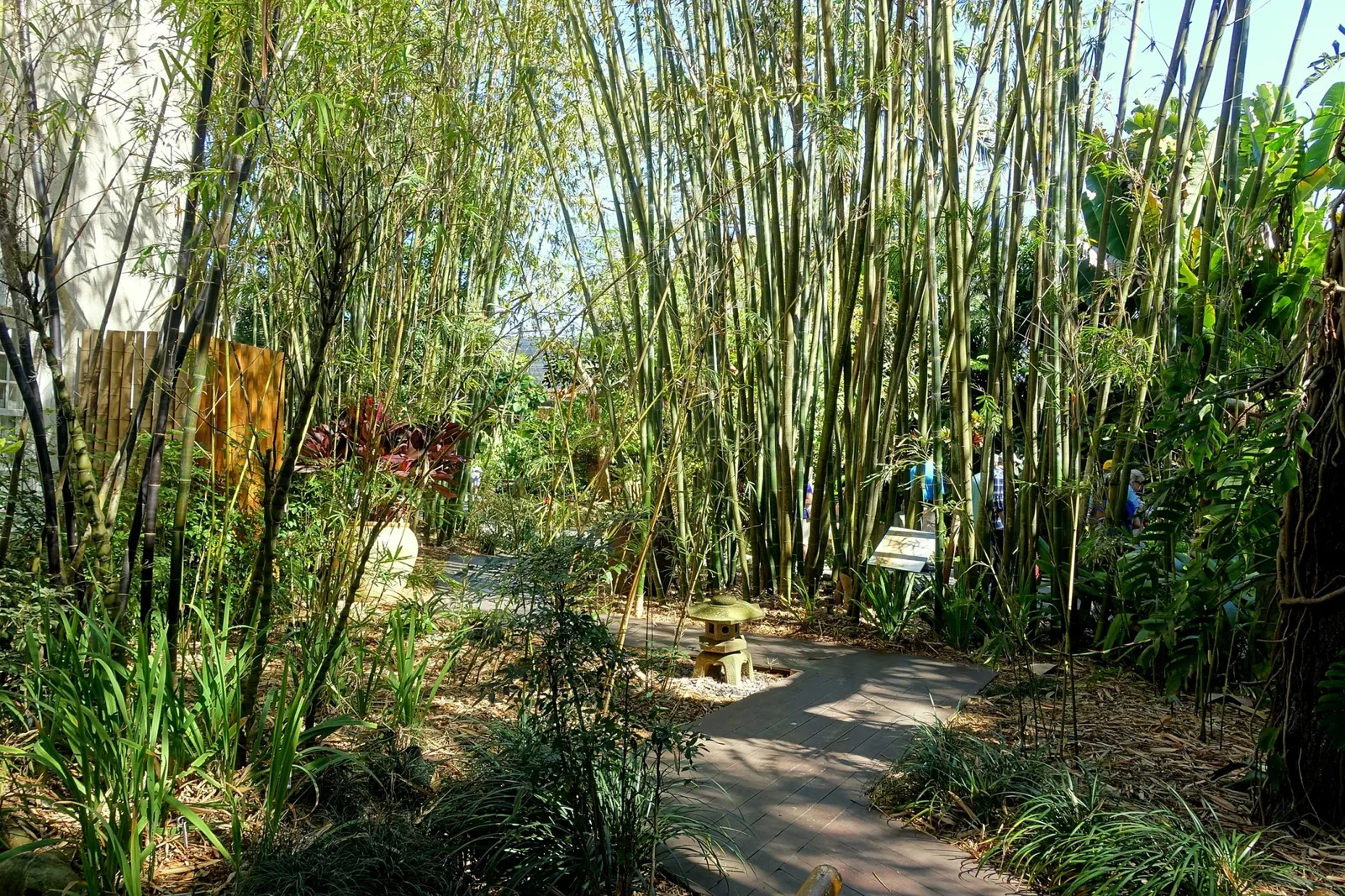 Casa de Christy Payne y Jardín Botánico Marie Selby
