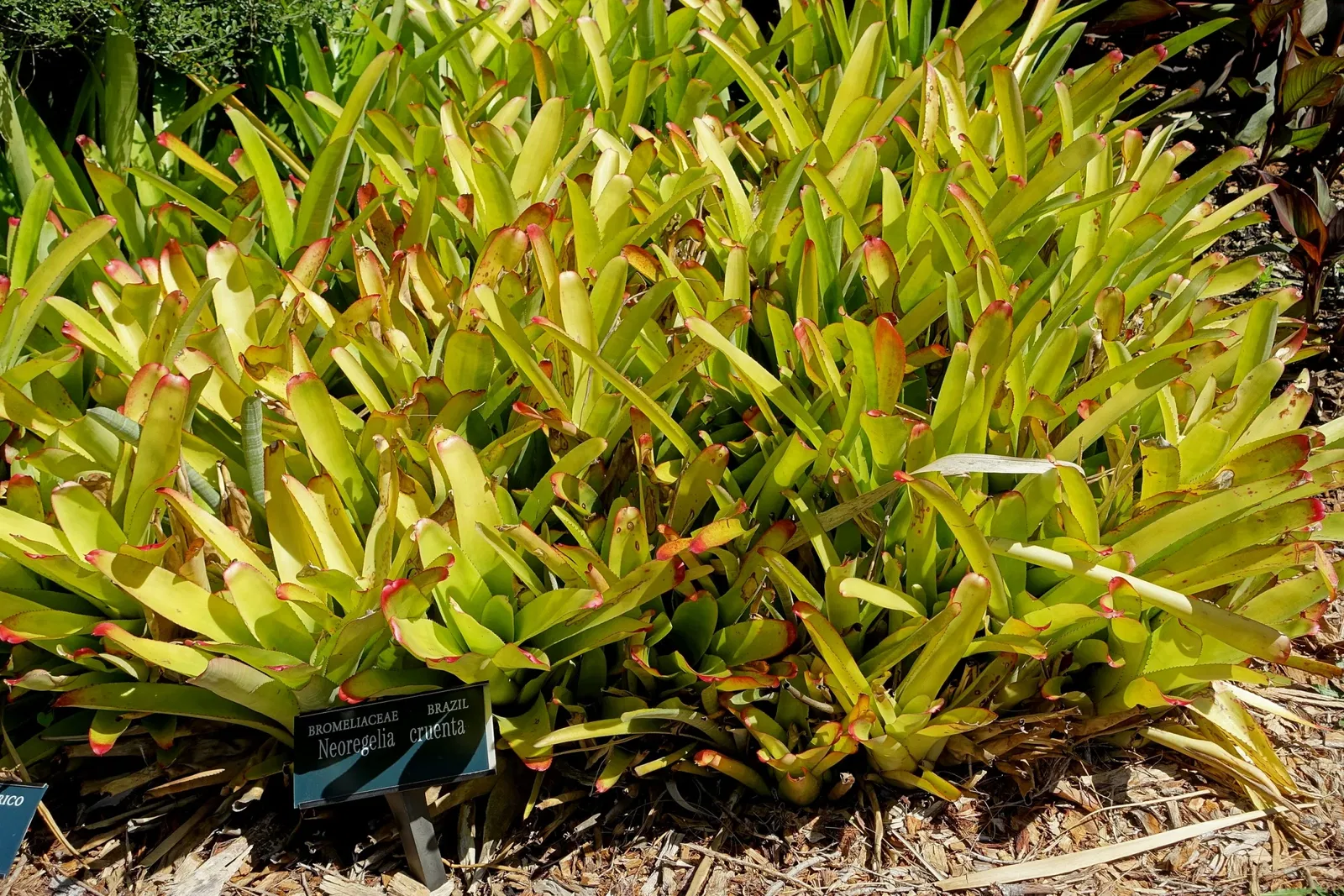 Casa de Christy Payne y Jardín Botánico Marie Selby