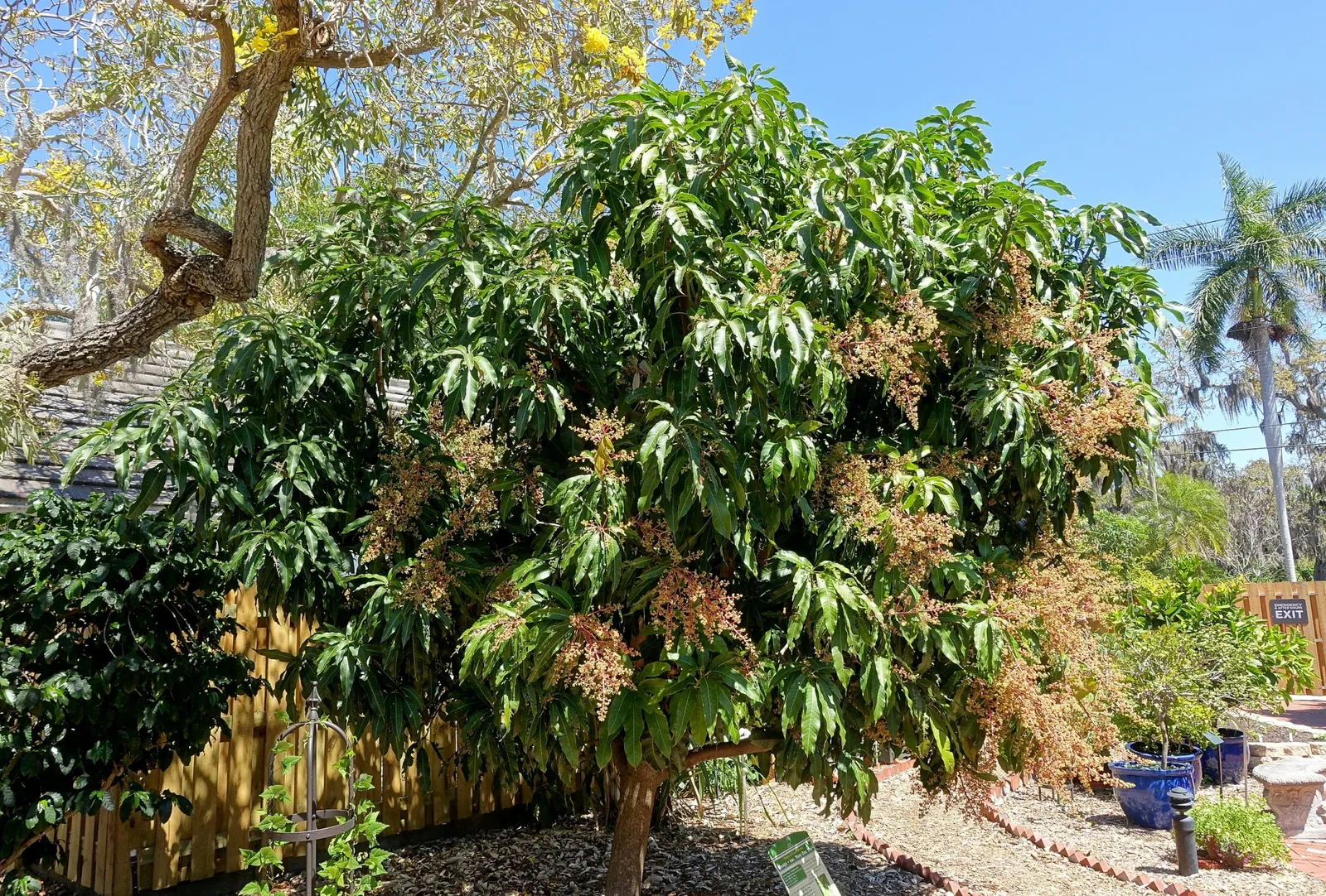Casa de Christy Payne y Jardín Botánico Marie Selby