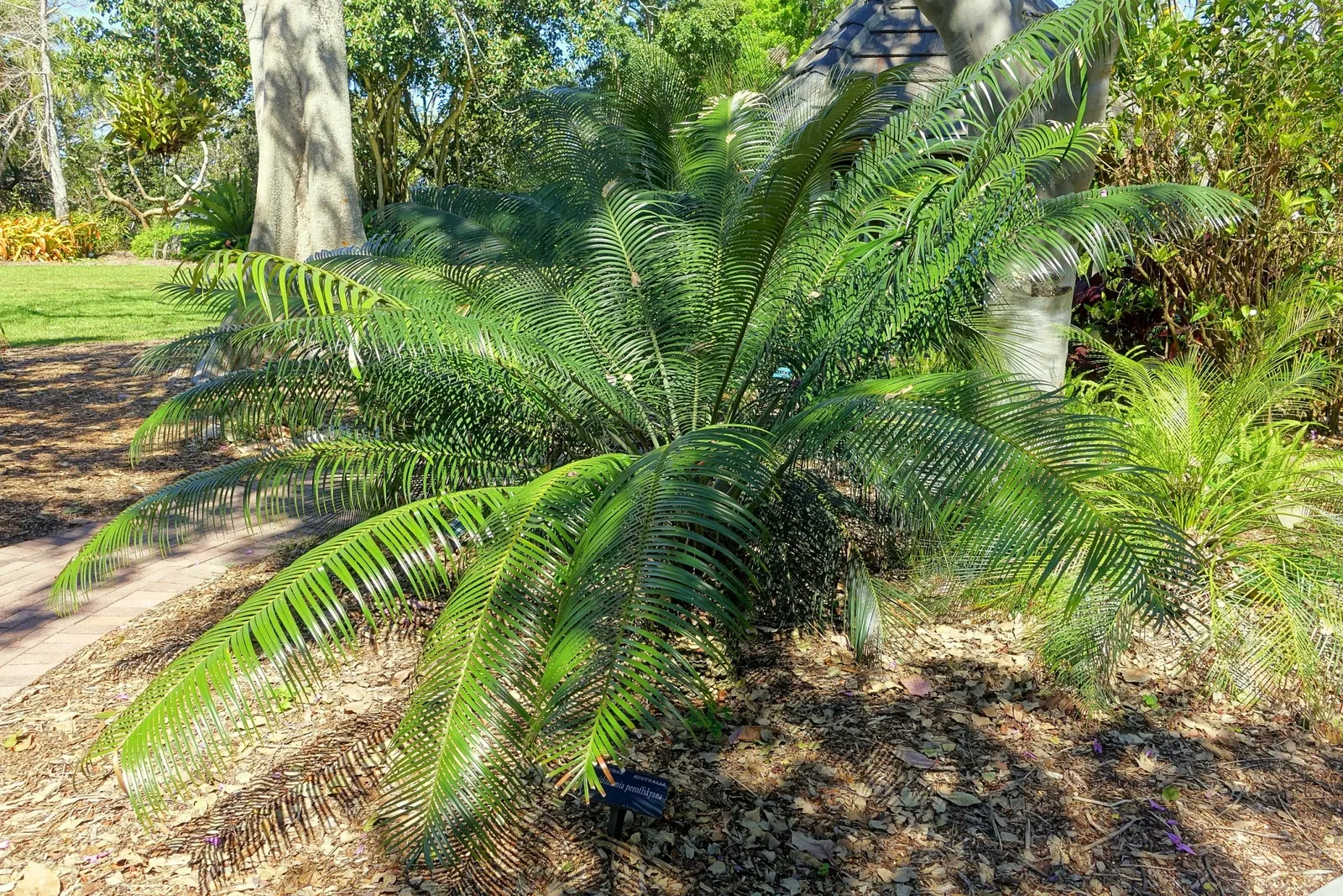 Casa de Christy Payne y Jardín Botánico Marie Selby