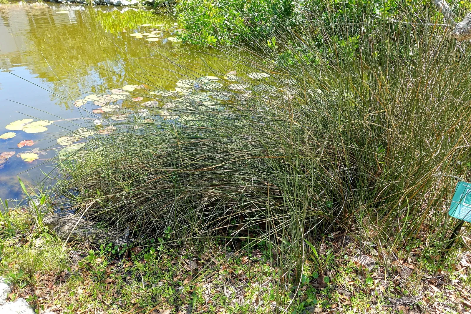 Casa de Christy Payne y Jardín Botánico Marie Selby