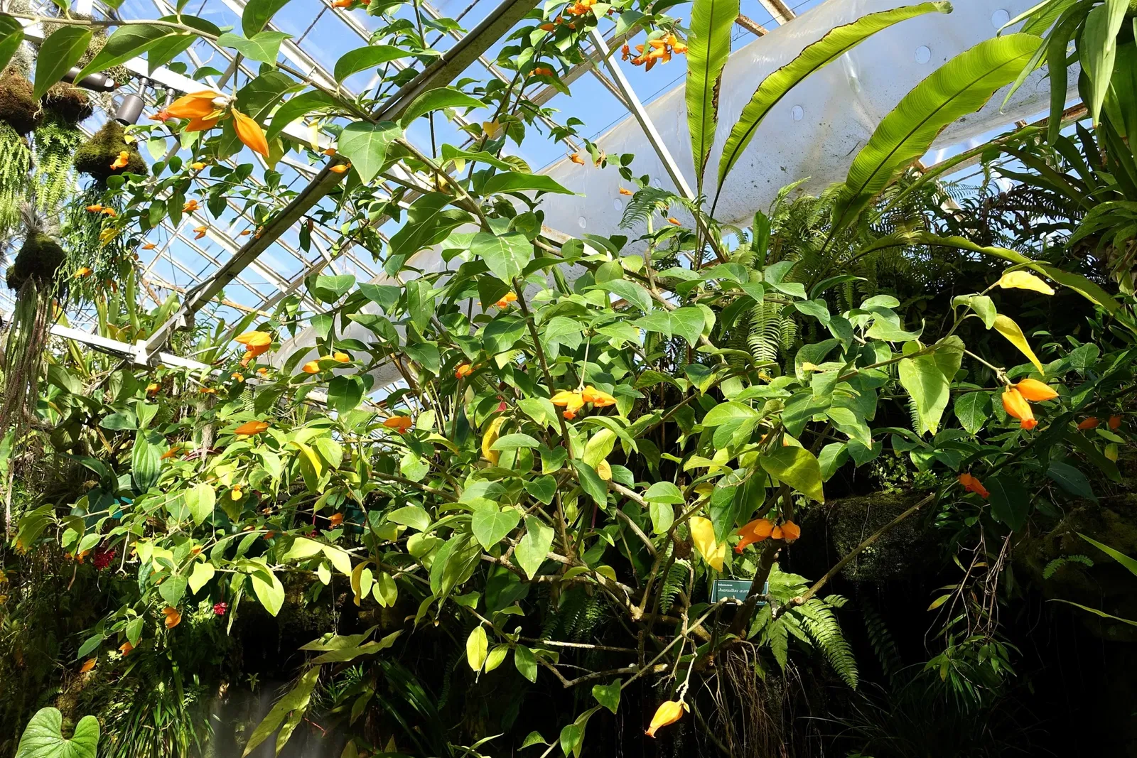 Casa de Christy Payne y Jardín Botánico Marie Selby