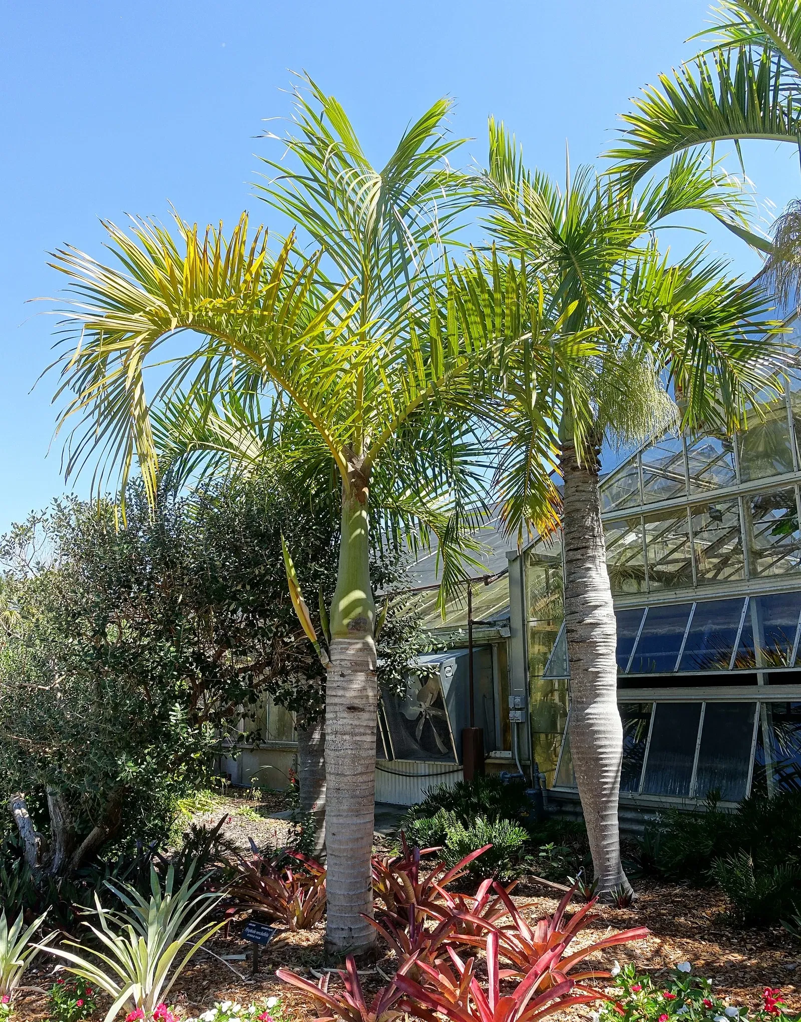 Marie Selby Botanical Gardens