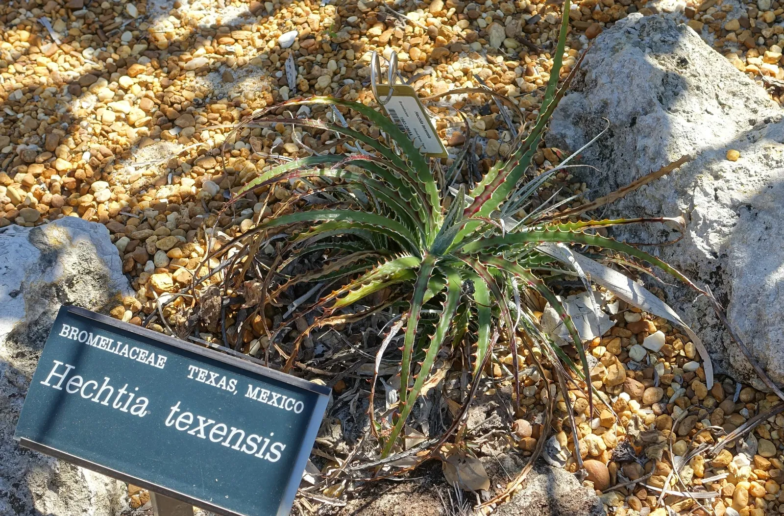 Marie Selby Botanical Gardens