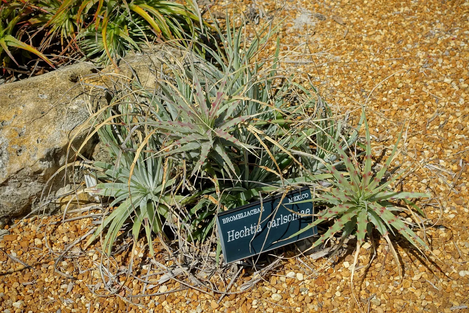 Casa de Christy Payne y Jardín Botánico Marie Selby