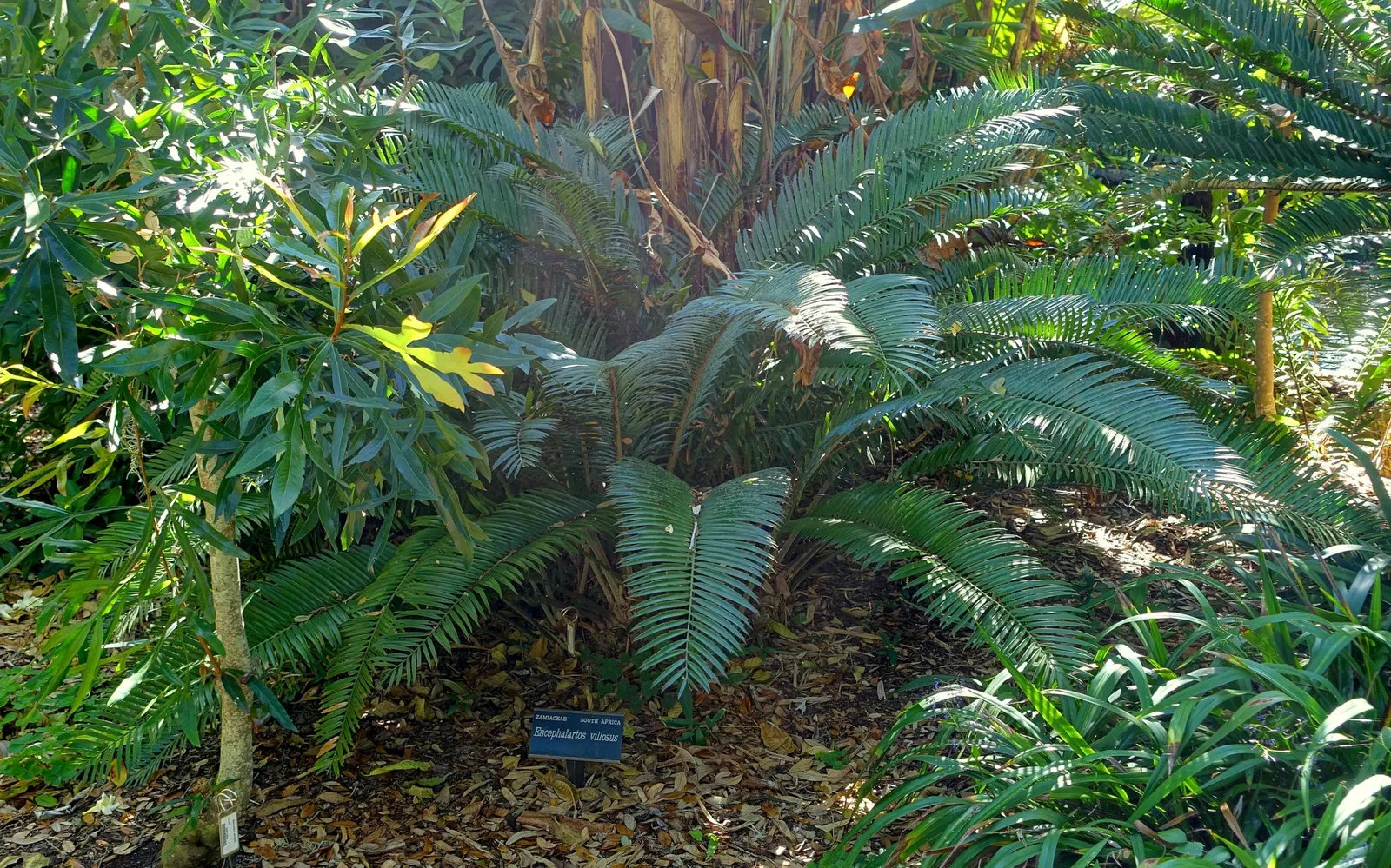 Casa de Christy Payne y Jardín Botánico Marie Selby